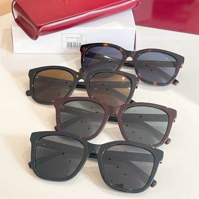 Gucci Sunglasses — 8
