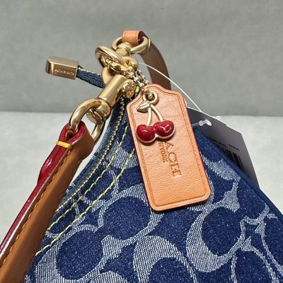 Coach Bag — 6