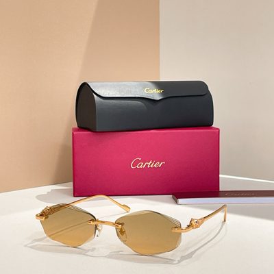 Cartier Sunglasses — 7