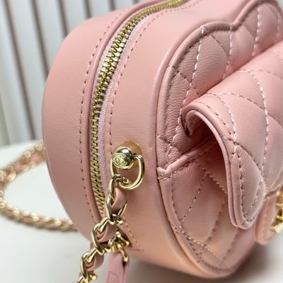 Chanel Bag — 6
