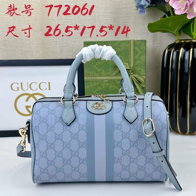 Gucci Bag