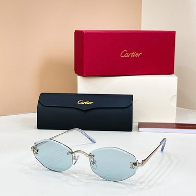 Cartier Sunglasses — 4