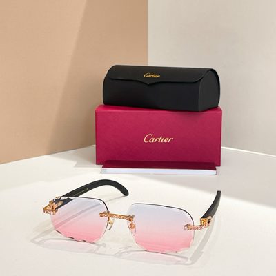 Cartier Sunglasses — 6