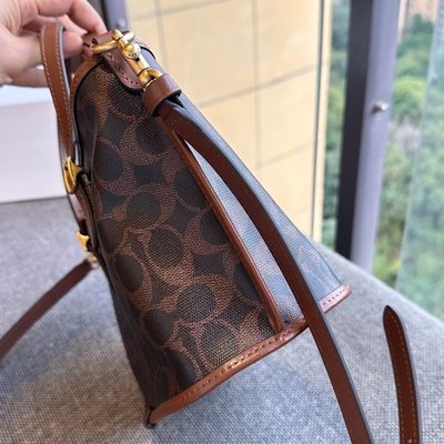 Coach Bag — 4