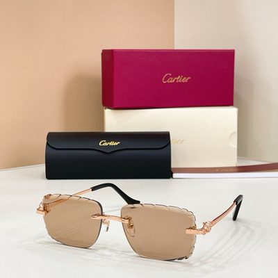 Cartier sunglasses — 5