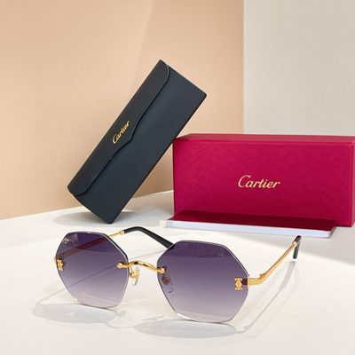 Cartier Sunglasses — 8