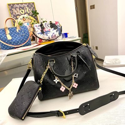Louis Vuitton Bag — 6