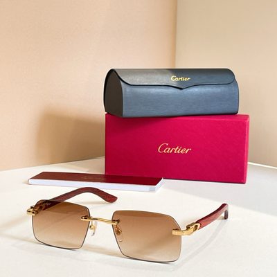 Cartier Sunglasses — 8