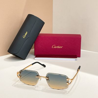 Cartier Sunglasses — 8