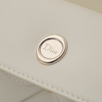 Dior Bag — 6