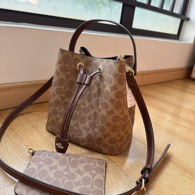 Coach Bag — 4