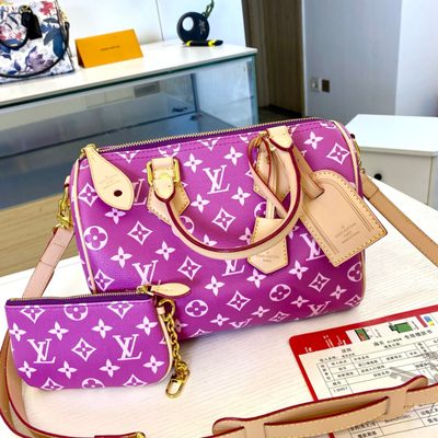 Louis Vuitton Bag — 8