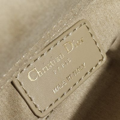 Dior Bag — 8