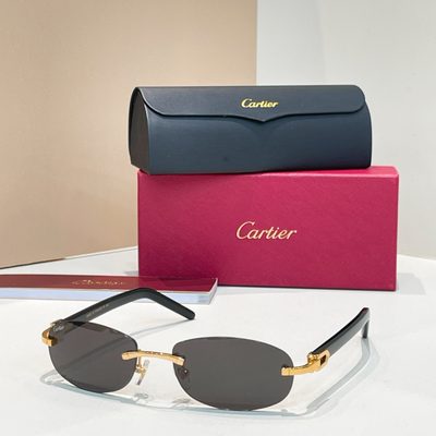 Cartier Sunglasses — 8