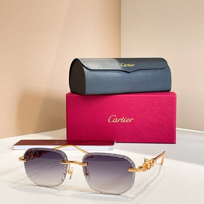 Cartier Sunglasses — 3