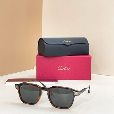 Cartier Sunglasses — 7