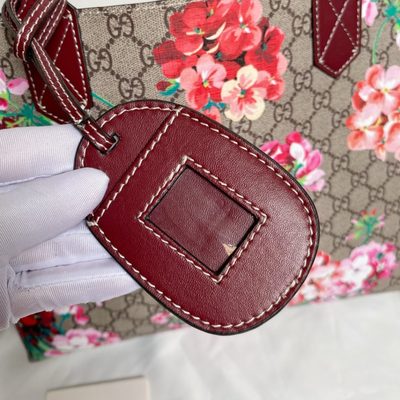 Gucci Bag — 9