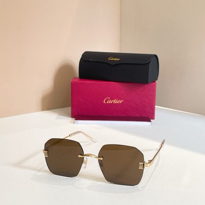 Cartier Sunglasses — 5