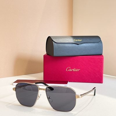 Cartier Sunglasses — 6