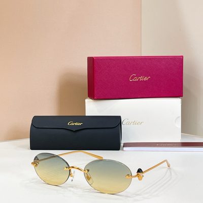 Cartier Sunglasses — 7