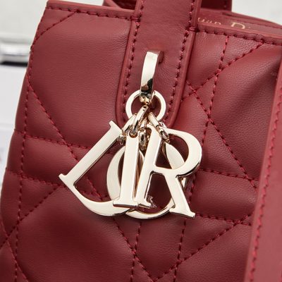 Dior Bag — 5