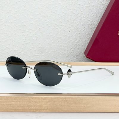 Cartier Sunglasses — 3