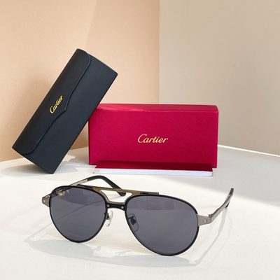 Cartier Sunglasses — 7