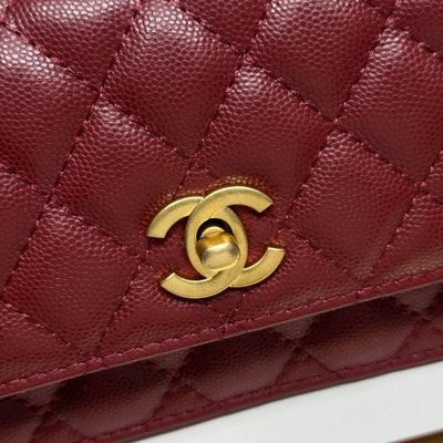 Chanel Bag — 5