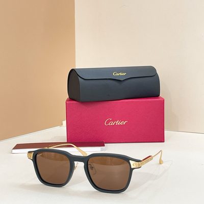 Cartier Sunglasses — 6