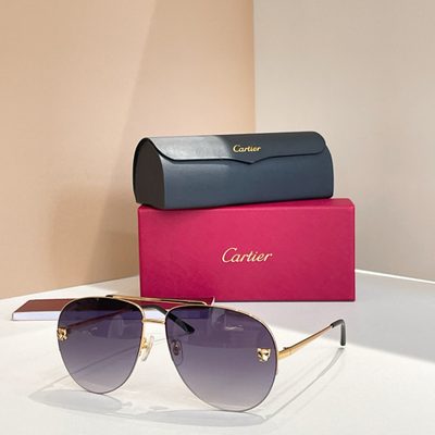 Cartier Sunglasses — 6