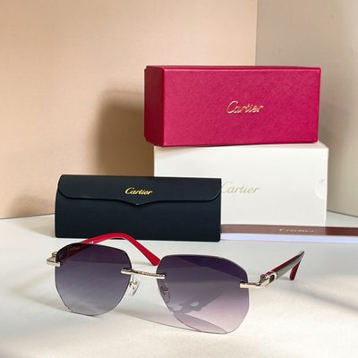 Cartier Sunglasses — 3