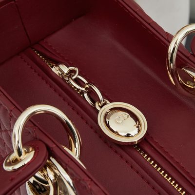 Dior Bag — 6