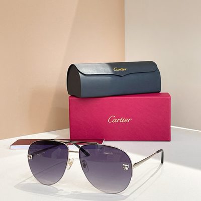 Cartier Sunglasses — 5