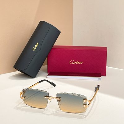 Cartier Sunglasses — 5