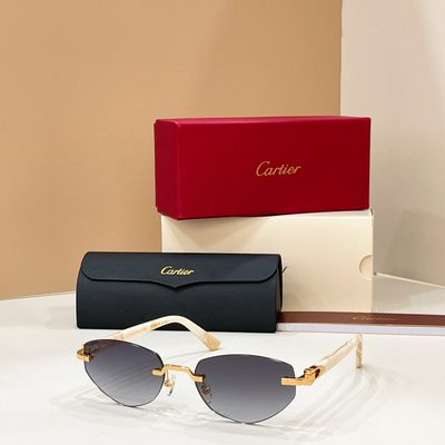 Cartier Sunglasses — 7