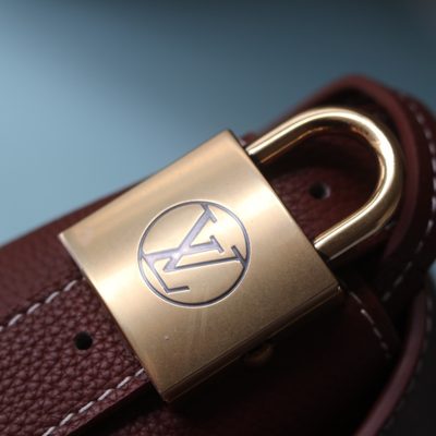 Louis Vuitton Bag — 6