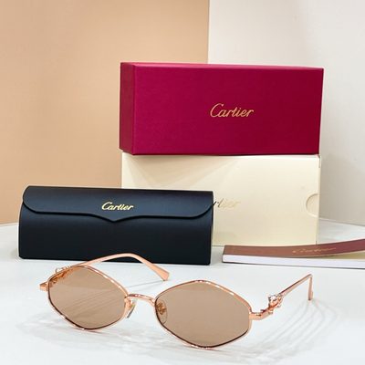 Cartier Sunglasses — 4