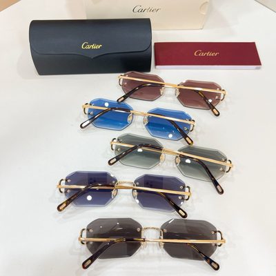 Cartier Sunglasses — 8
