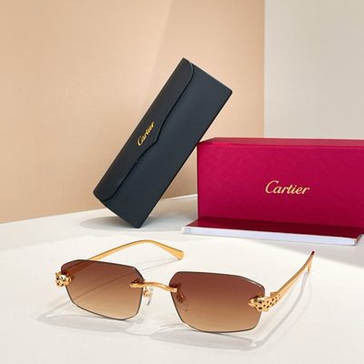 Cartier Sunglasses — 3