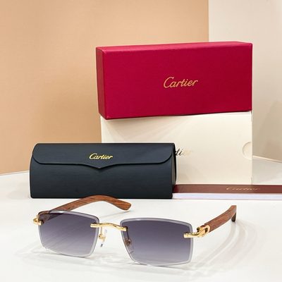 Cartier Sunglasses — 5