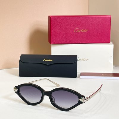 Cartier Sunglasses — 9