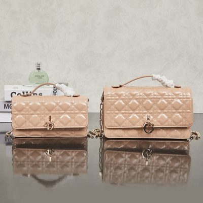 Dior Bag — 5