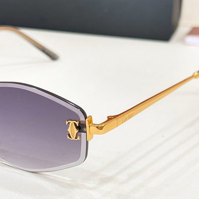 Cartier Sunglasses — 7
