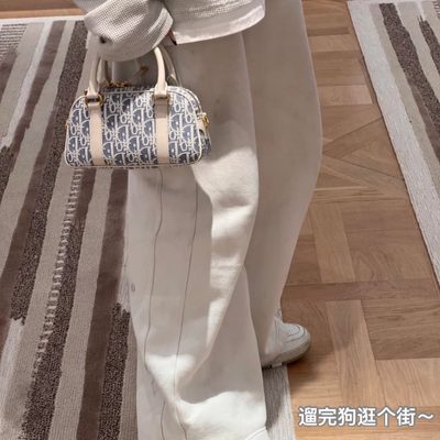 Dior Bag — 8