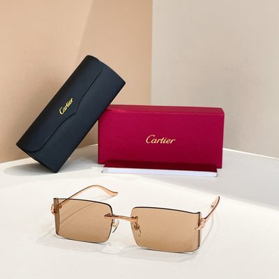 Cartier Sunglasses — 5