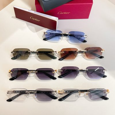 Cartier Sunglasses — 8