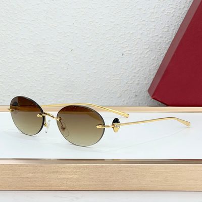 Cartier Sunglasses — 6