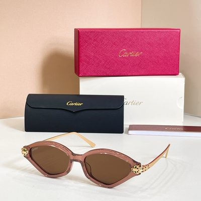 Cartier Sunglasses — 8