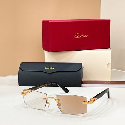 Cartier Sunglasses — 6