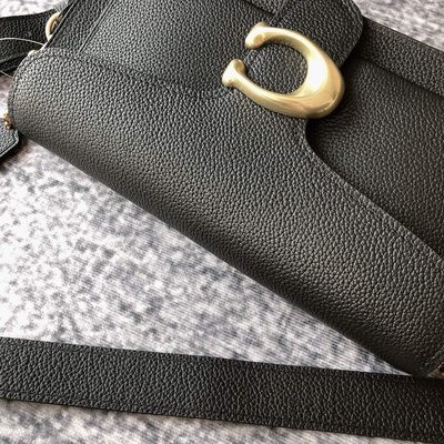 Coach Bag — 15